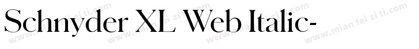 Schnyder XL Web Italic字体转换